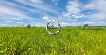 fazenda 800 hectares em paranatinga MT (12)