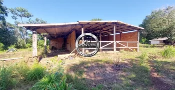 fazenda 800 hectares em paranatinga MT (2)