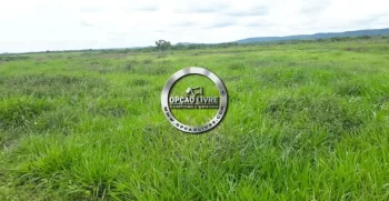 fazenda 800 hectares em paranatinga MT (2)