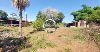 fazenda 800 hectares em paranatinga MT (3)