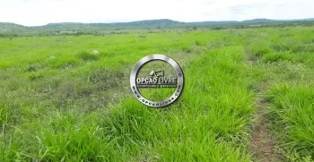 fazenda 800 hectares em paranatinga MT (3)