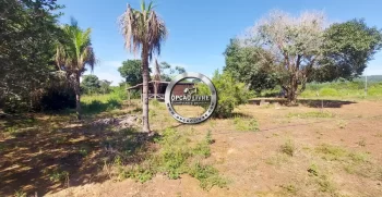 fazenda 800 hectares em paranatinga MT (4)