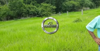 fazenda 800 hectares em paranatinga MT (4)