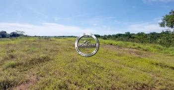 fazenda 800 hectares em paranatinga MT (5)