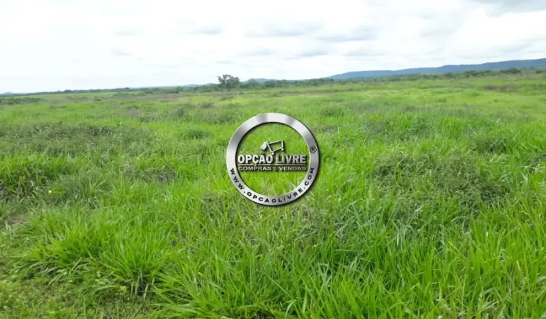 FAZENDA COM 800 HECTARES A VENDA EM PARANATINGA – MT