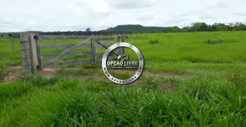 fazenda 800 hectares em paranatinga MT (6)