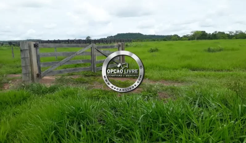 FAZENDA COM 800 HECTARES A VENDA EM PARANATINGA – MT