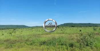 fazenda 800 hectares em paranatinga MT (7)