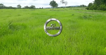 fazenda 800 hectares em paranatinga MT (7)