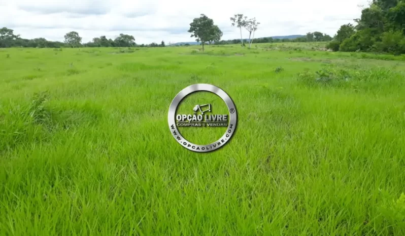 FAZENDA COM 800 HECTARES A VENDA EM PARANATINGA – MT