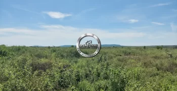 fazenda 800 hectares em paranatinga MT (8)