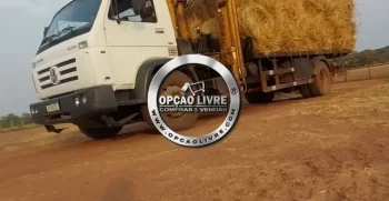 caminhão munck toco volks 15-190 (26)