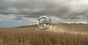 colheitadeira new holland tc59 ano 2004 (1)