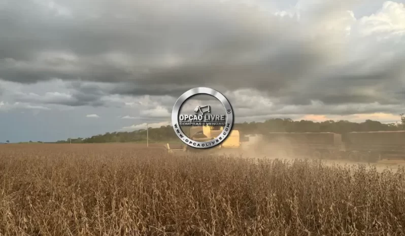 COLHEITADEIRA NEW HOLLAND TC59 23 PÉS ANO 2004