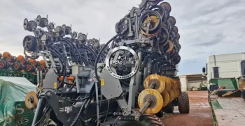 platandeira momento 30 linhas (2)