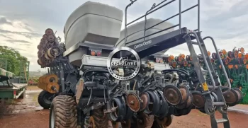 platandeira momento 30 linhas (3)