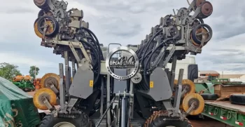 platandeira momento 30 linhas (4)