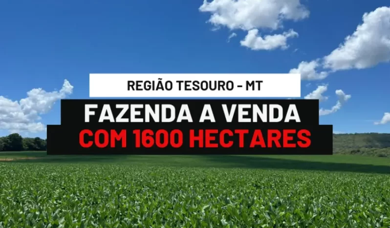 FAZENDA COM 1600 HECTARES A VENDA EM TESOURO – MT