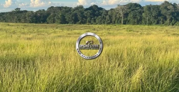 FAZENDA COM 1600 HECTARES REGIÃO DE TESOURO MT (10)