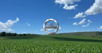 FAZENDA COM 1600 HECTARES REGIÃO DE TESOURO MT (11)