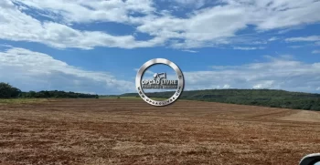 FAZENDA COM 1600 HECTARES REGIÃO DE TESOURO MT (12)