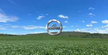 FAZENDA COM 1600 HECTARES REGIÃO DE TESOURO MT (13)