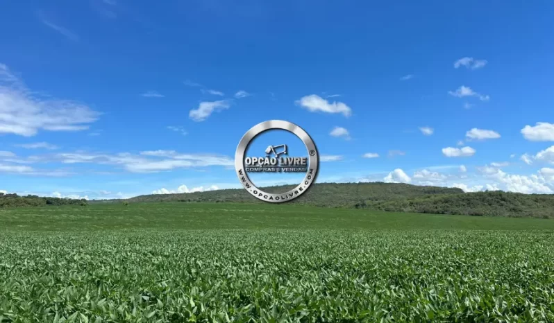 FAZENDA COM 1600 HECTARES A VENDA EM TESOURO – MT