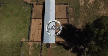 FAZENDA COM 1600 HECTARES REGIÃO DE TESOURO MT (2)