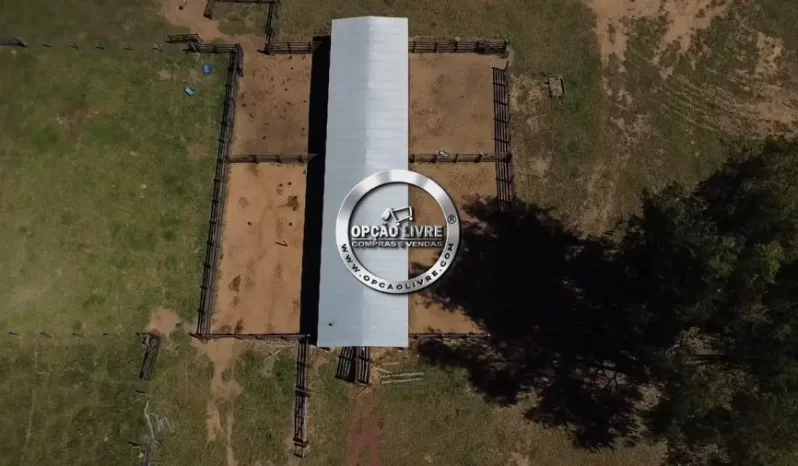 FAZENDA COM 1600 HECTARES A VENDA EM TESOURO – MT