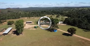 FAZENDA COM 1600 HECTARES REGIÃO DE TESOURO MT (3)