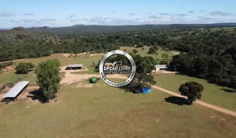 FAZENDA COM 1600 HECTARES A VENDA EM TESOURO – MT