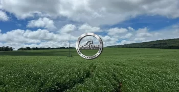 FAZENDA COM 1600 HECTARES REGIÃO DE TESOURO MT (4)