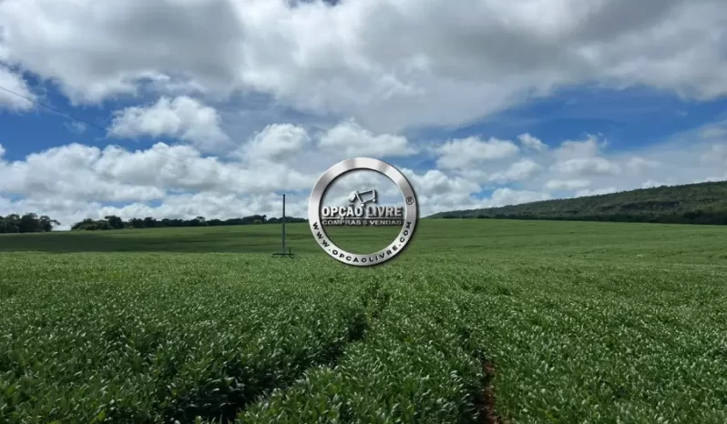 FAZENDA COM 1600 HECTARES A VENDA EM TESOURO – MT