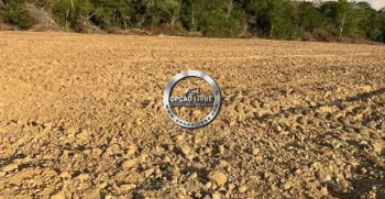 FAZENDA COM 1600 HECTARES REGIÃO DE TESOURO MT (9)