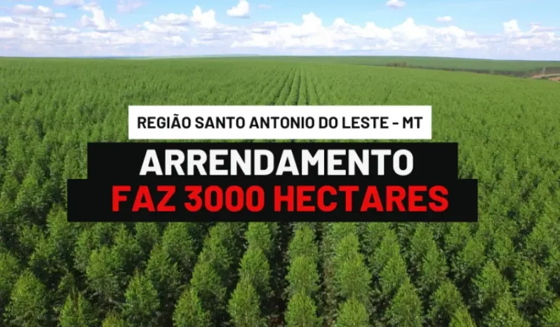 FAZENDA ARRENDAENTO 3000 HECANTO ANTONIO DO LESTE MATO GROSSO