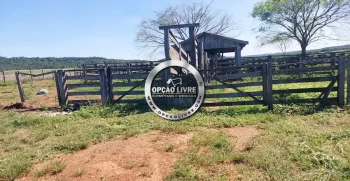 FAZENDA A VENDA COM 3229 HA NA REGIAO DE PARANATINGA – MT AREA PLANTANDO SOJA (1)