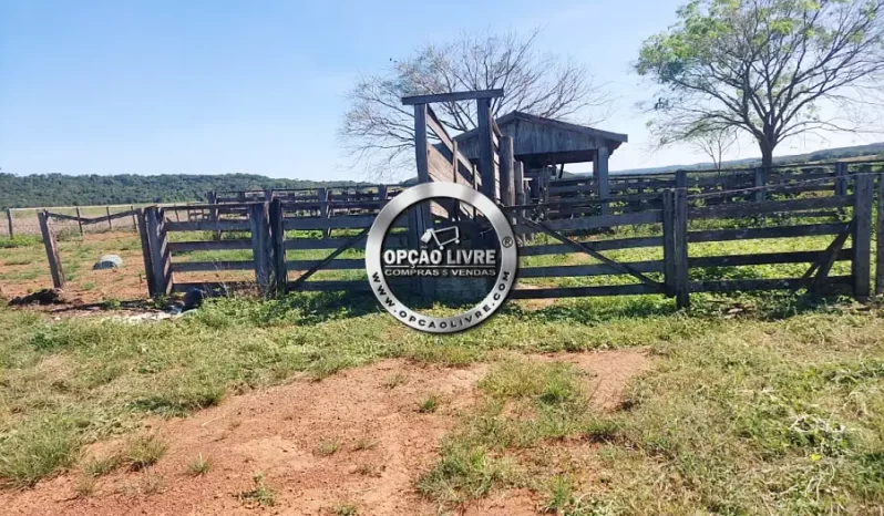 FAZENDA A VENDA COM 3229 HECTARES NA REGIÃO PARANATINGA – MT