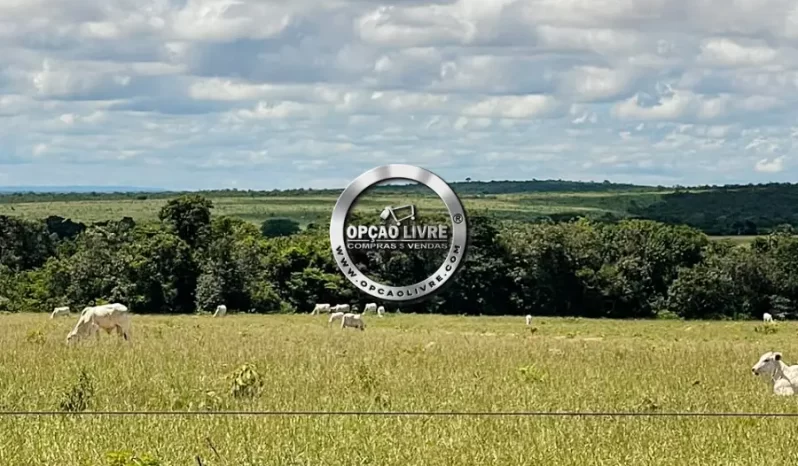 FAZENDA A VENDA COM 3229 HECTARES NA REGIÃO PARANATINGA – MT
