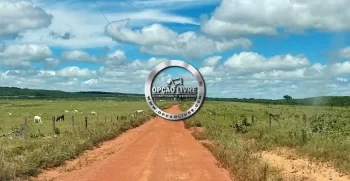FAZENDA A VENDA COM 3229 HA NA REGIAO DE PARANATINGA – MT AREA PLANTANDO SOJA (3)