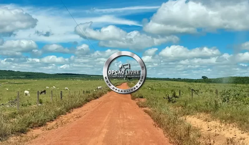 FAZENDA A VENDA COM 3229 HECTARES NA REGIÃO PARANATINGA – MT
