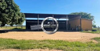 FAZENDA A VENDA COM 3229 HA NA REGIAO DE PARANATINGA – MT AREA PLANTANDO SOJA (5)