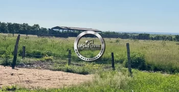 FAZENDA A VENDA COM 3229 HA NA REGIAO DE PARANATINGA – MT AREA PLANTANDO SOJA (6)