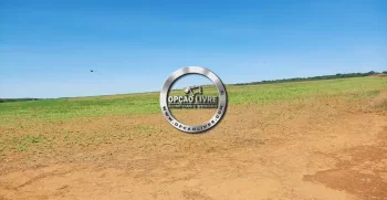 FAZENDA A VENDA COM 3229 HA NA REGIAO DE PARANATINGA – MT AREA PLANTANDO SOJA (7)