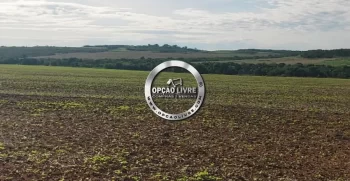 FAZENDA A VENDA COM 3229 HA NA REGIAO DE PARANATINGA – MT AREA PLANTANDO SOJA (8)