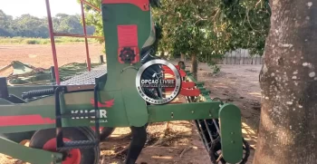 ESCARIFICADOR 15 HASTE (5)