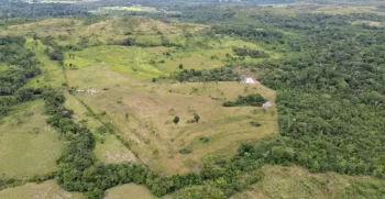 fazenda 101 ha 41 alqueires Campo verde chapada dos guimaraes (4)