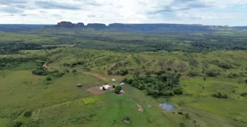 fazenda 101 ha 41 alqueires Campo verde chapada dos guimaraes (5)